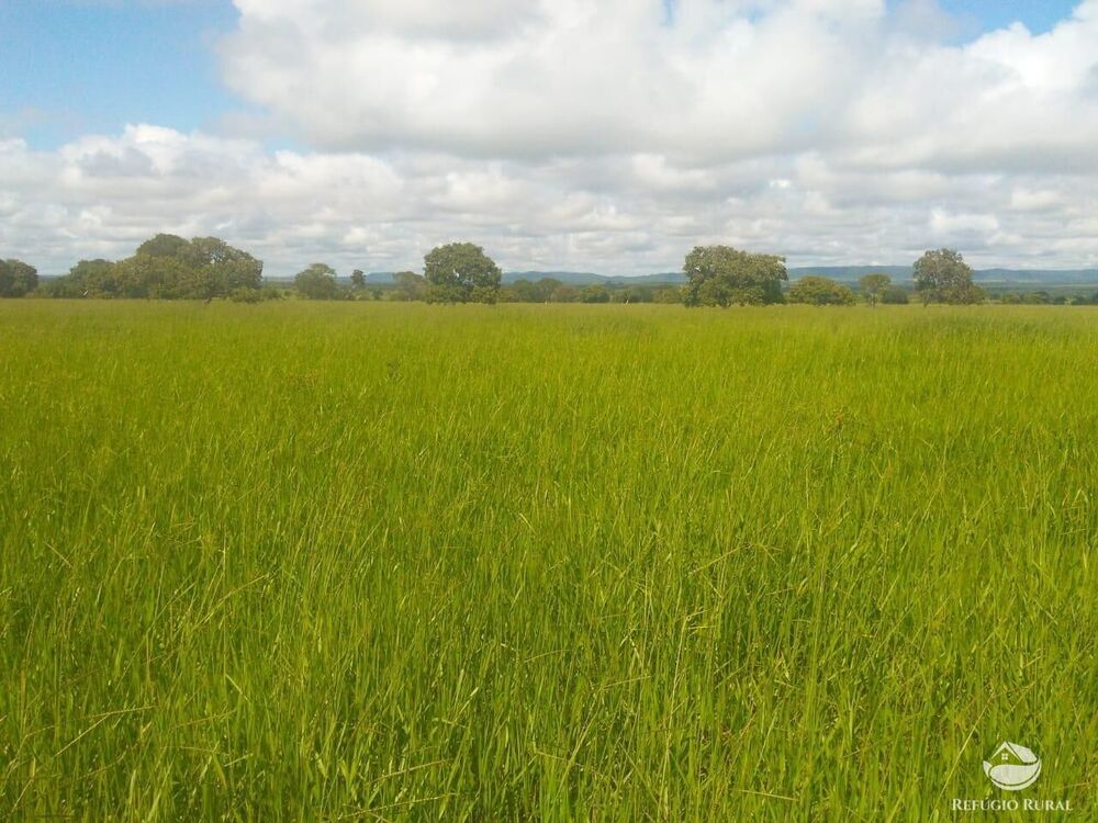Fazenda à venda com 4 quartos, 40070000m² - Foto 6