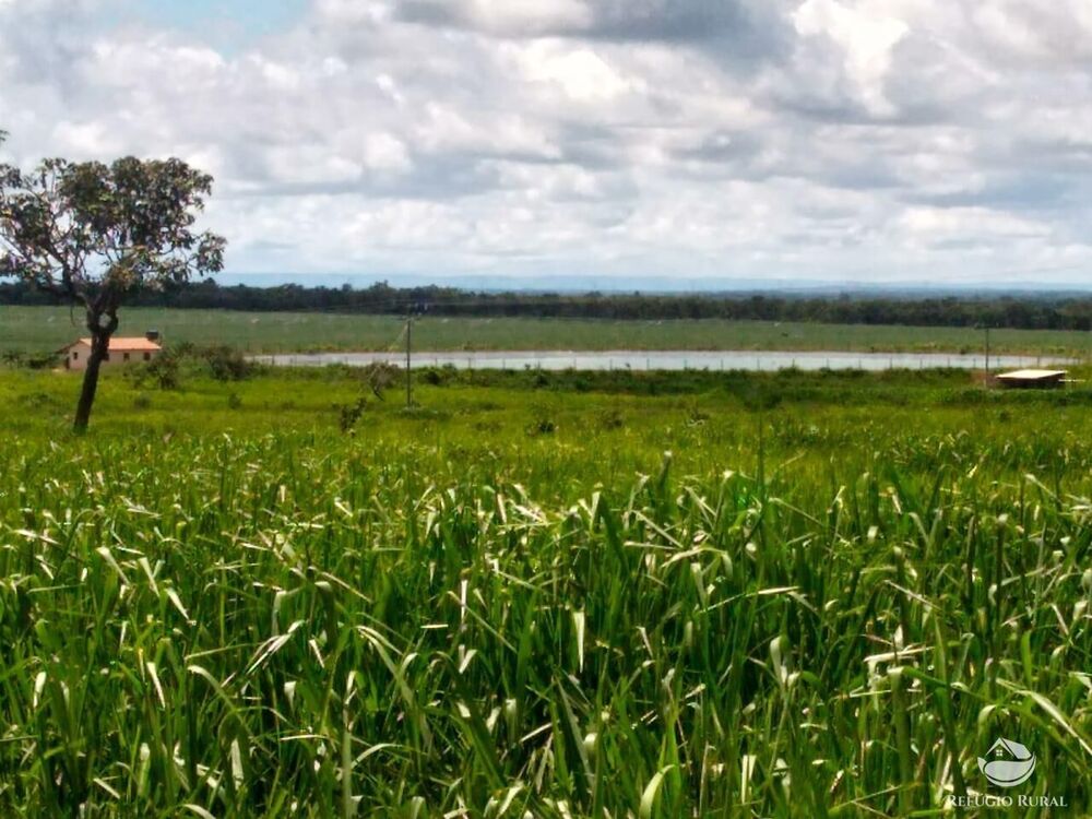 Fazenda à venda com 4 quartos, 40070000m² - Foto 1