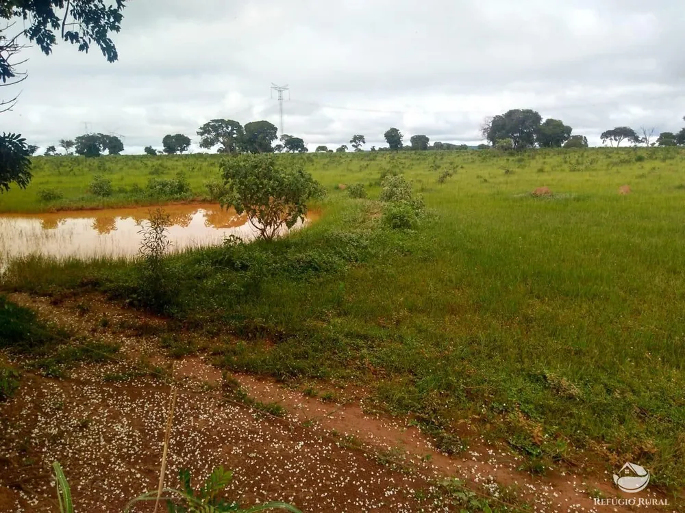 Fazenda, 4007 hectares - Foto 14