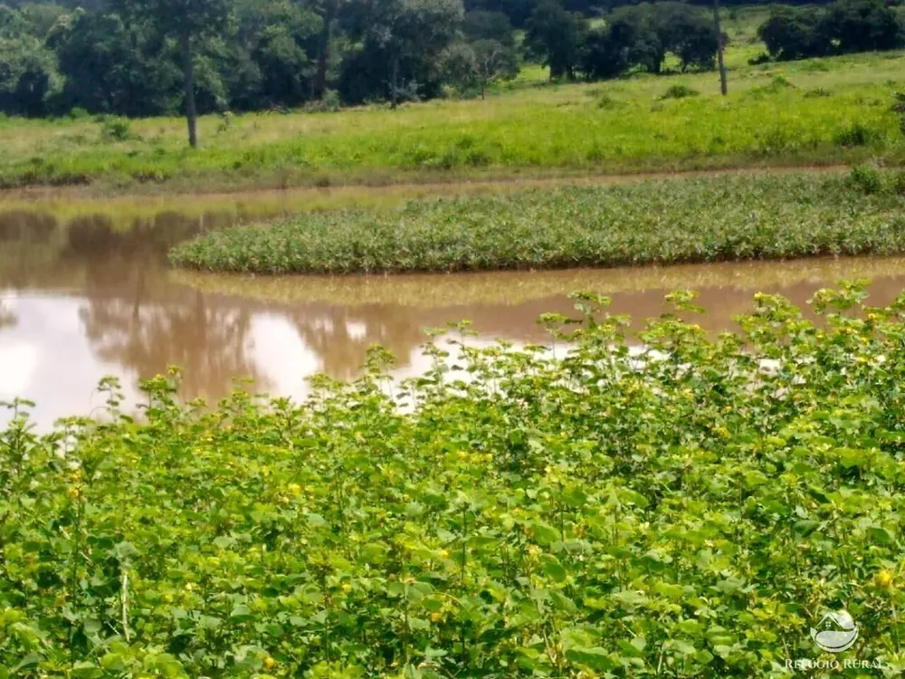 Fazenda, 4007 hectares - Foto 2
