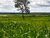 Fazenda, 4007 hectares - Foto 3