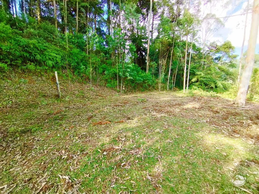 Sítio, 2 hectares - Foto 11