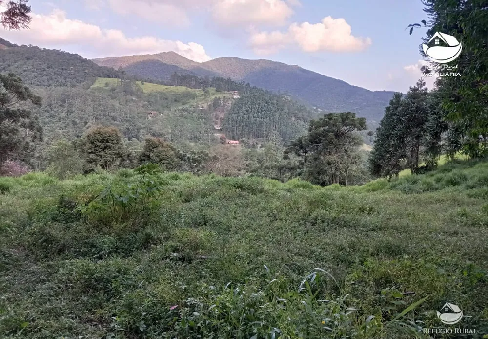 Sítio, 2 hectares - Foto 4