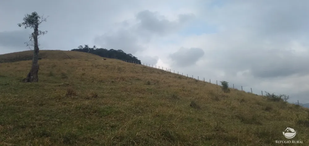 Fazenda, 94 hectares - Foto 6