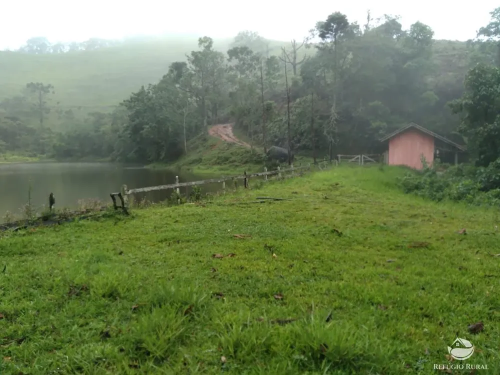 Fazenda, 94 hectares - Foto 17
