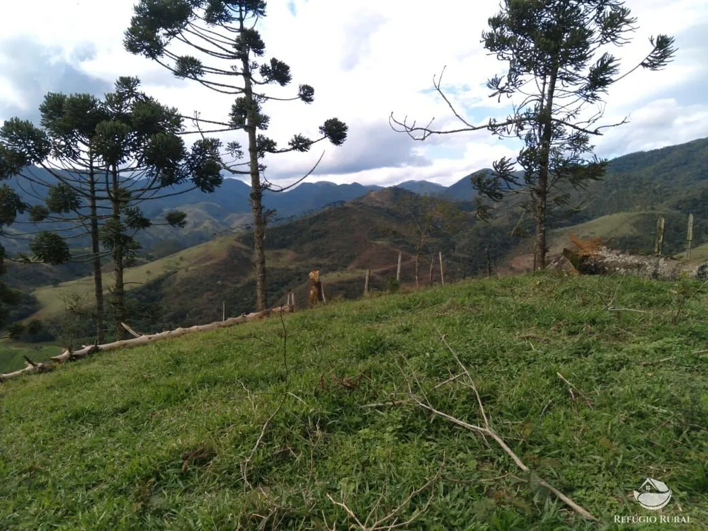 Fazenda, 94 hectares - Foto 13