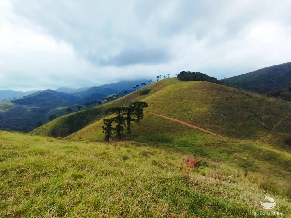 Fazenda, 94 hectares - Foto 8