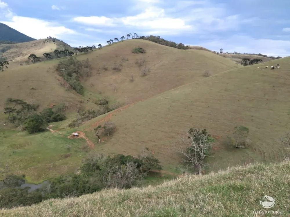 Fazenda, 94 hectares - Foto 7