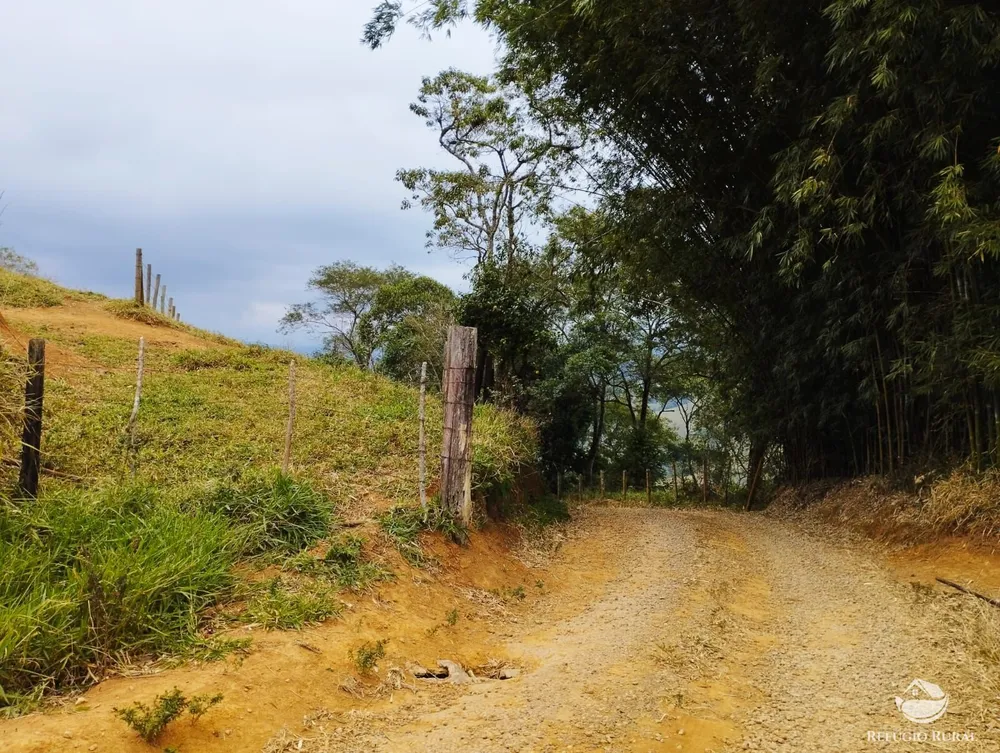 Fazenda, 94 hectares - Foto 20