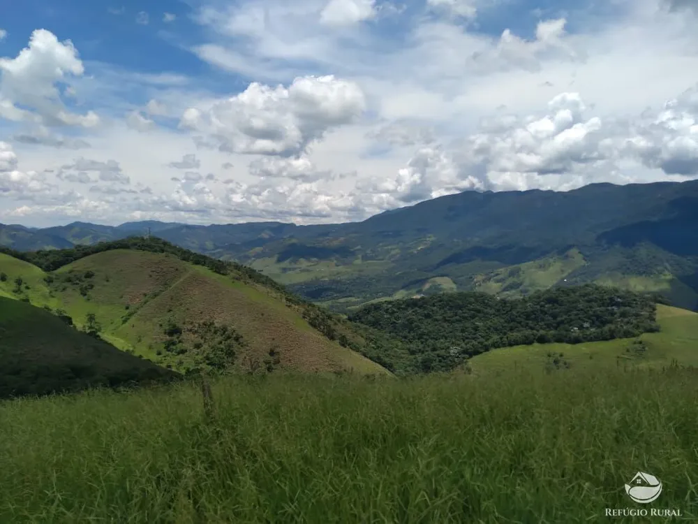 Fazenda, 94 hectares - Foto 19