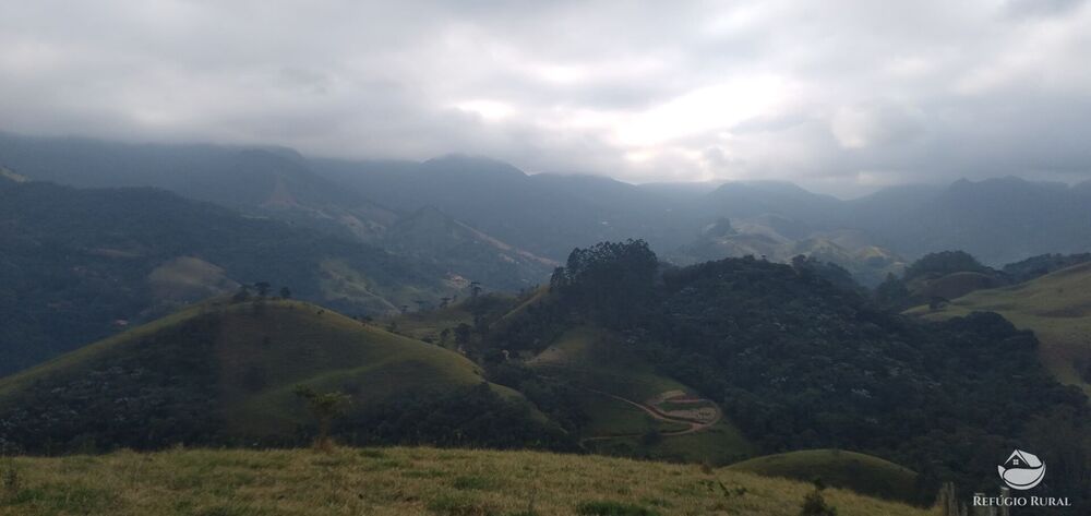 Fazenda, 94 hectares - Foto 3
