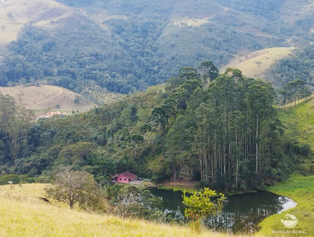 Fazenda, 94 hectares - Foto 1