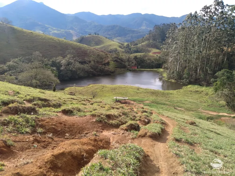 Fazenda, 94 hectares - Foto 7