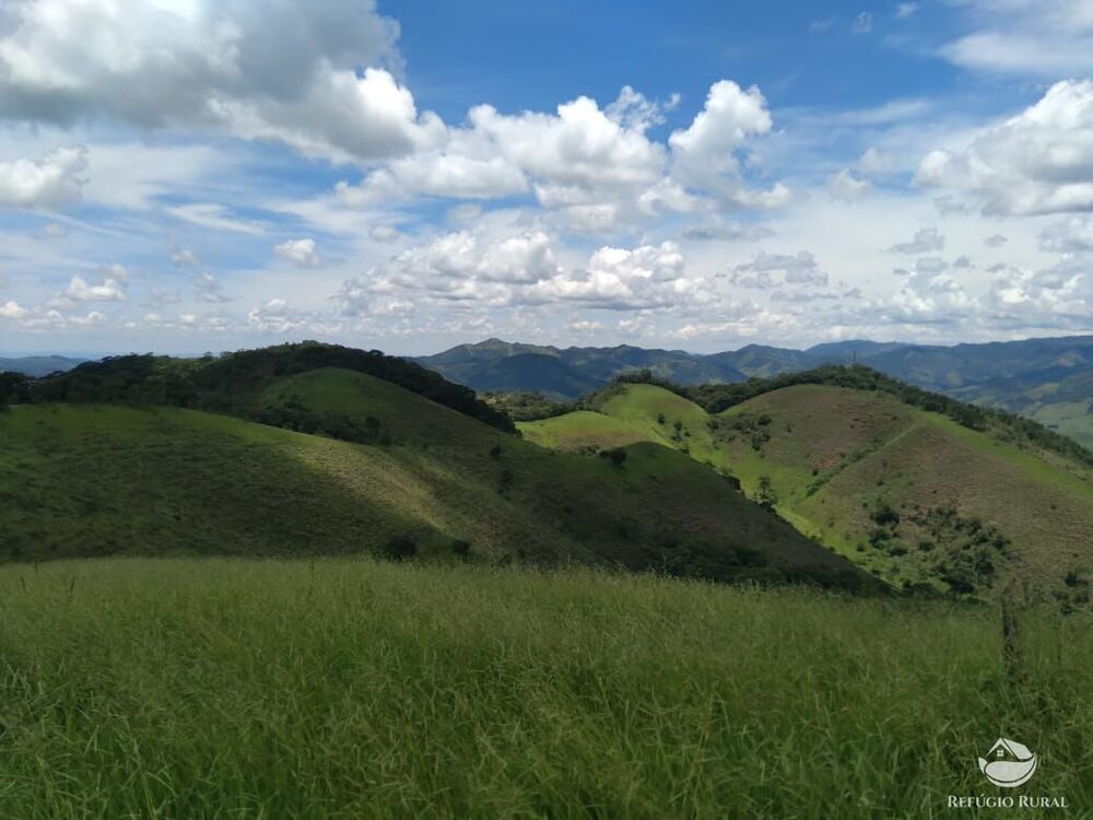 Fazenda, 94 hectares - Foto 6