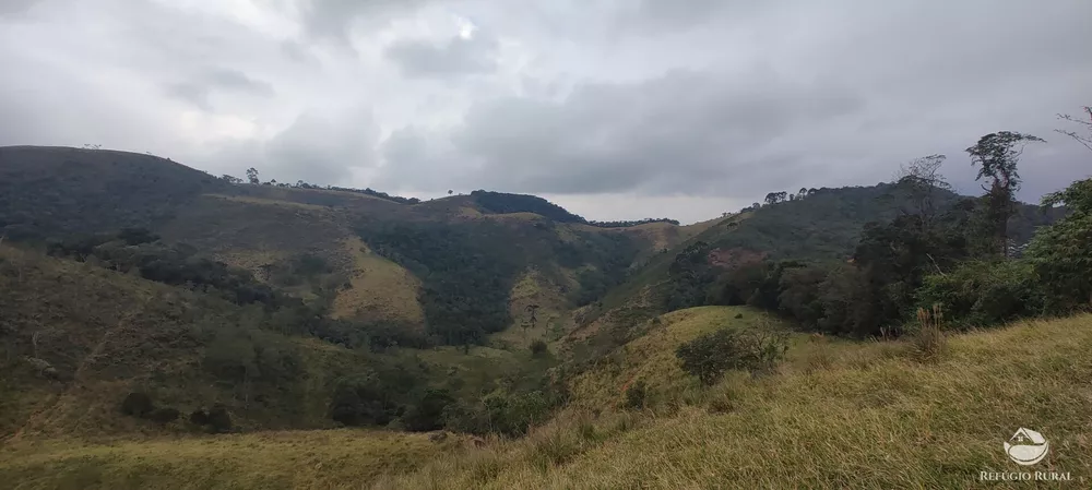 Fazenda, 94 hectares - Foto 8