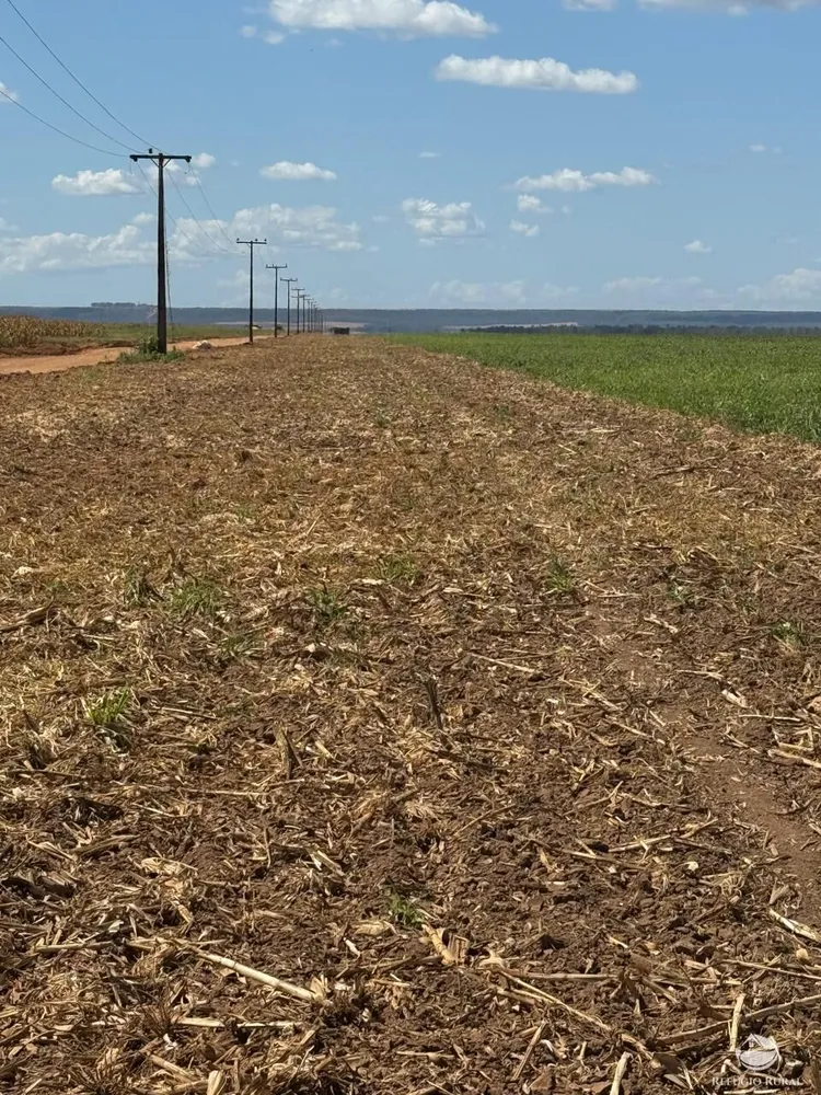 Fazenda, 15000 hectares - Foto 16