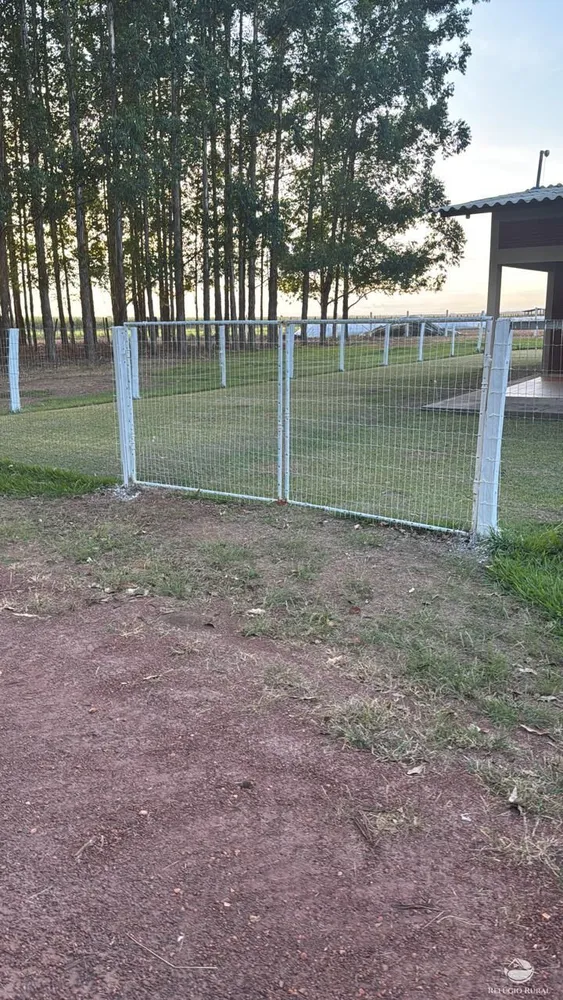 Fazenda, 15000 hectares - Foto 11