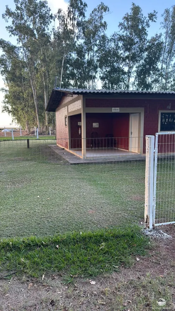 Fazenda, 15000 hectares - Foto 14