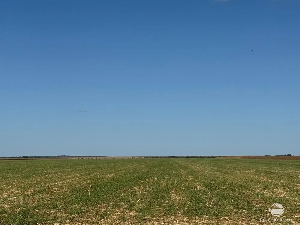 Fazenda, 15000 hectares - Foto 15