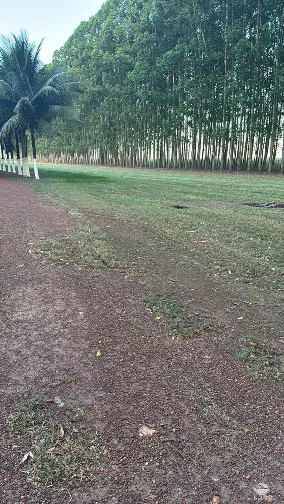 Fazenda, 15000 hectares - Foto 9