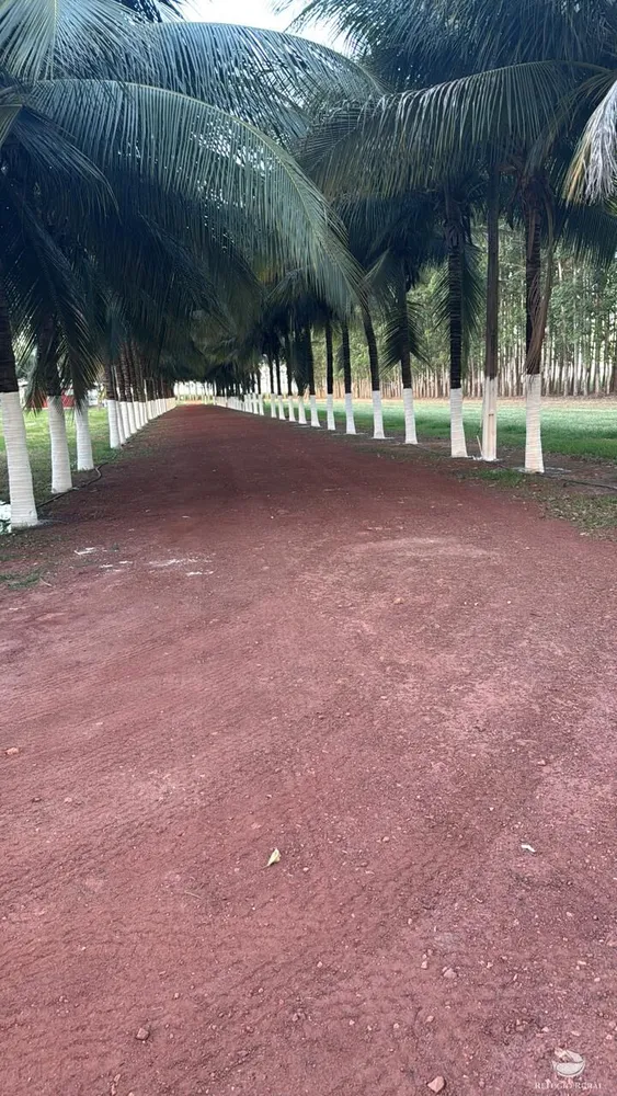 Fazenda, 15000 hectares - Foto 13