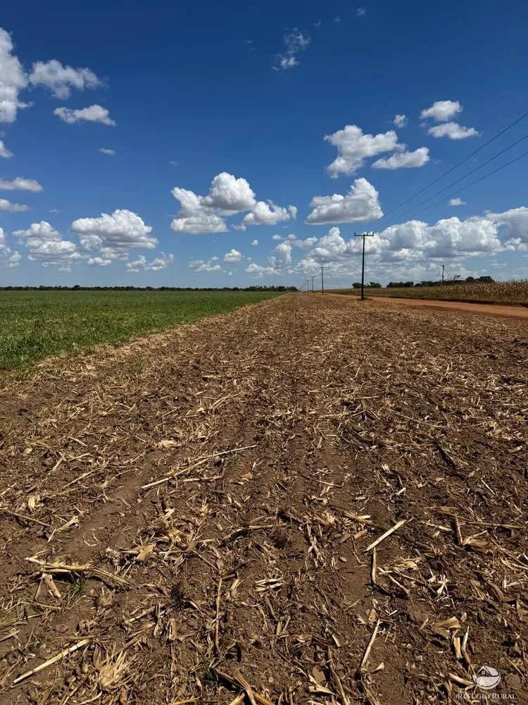 Fazenda, 15000 hectares - Foto 3