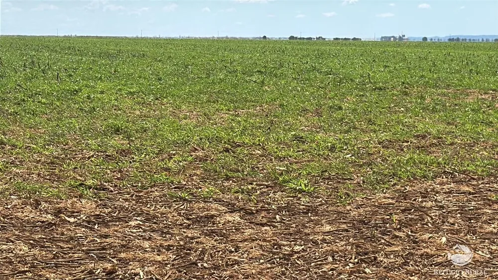 Fazenda, 15000 hectares - Foto 12