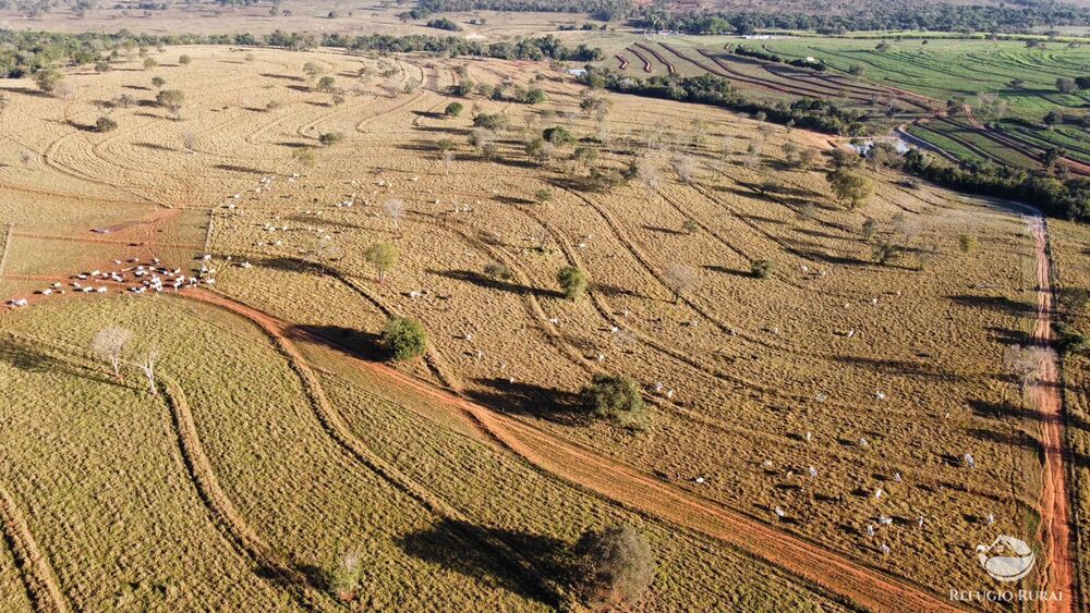 Fazenda à venda com 3 quartos, 3799400m² - Foto 4