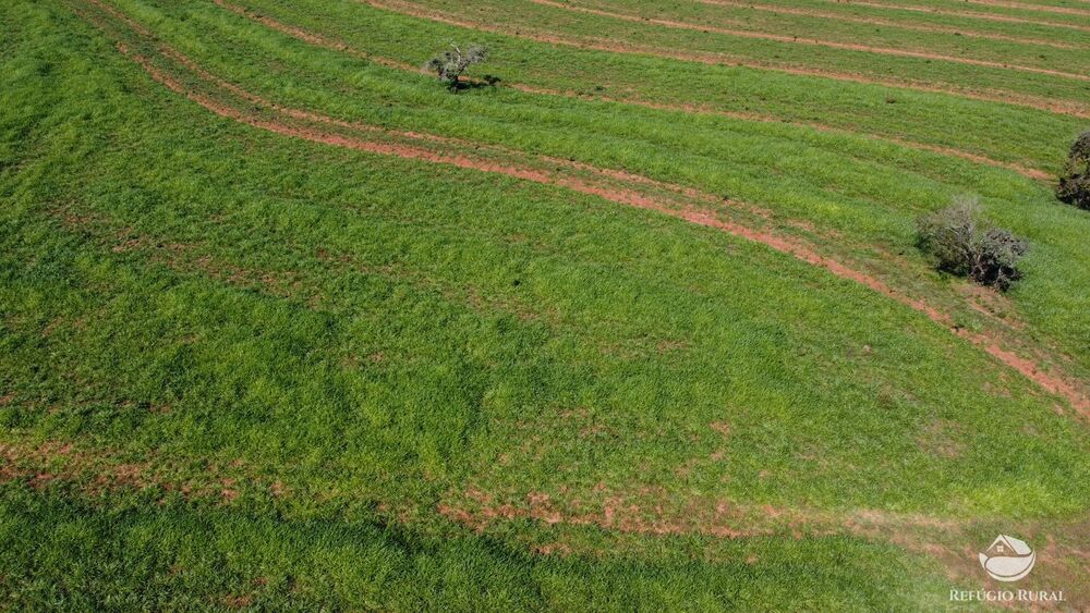 Fazenda à venda com 3 quartos, 3799400m² - Foto 9
