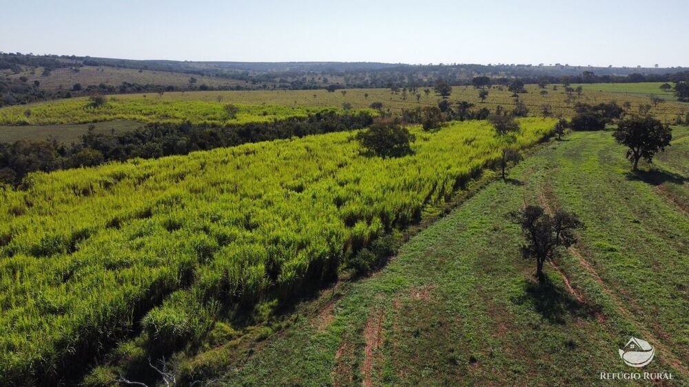 Fazenda à venda com 3 quartos, 3799400m² - Foto 6