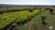 Fazenda-Sítio-Chácara, 380 hectares - Foto 6