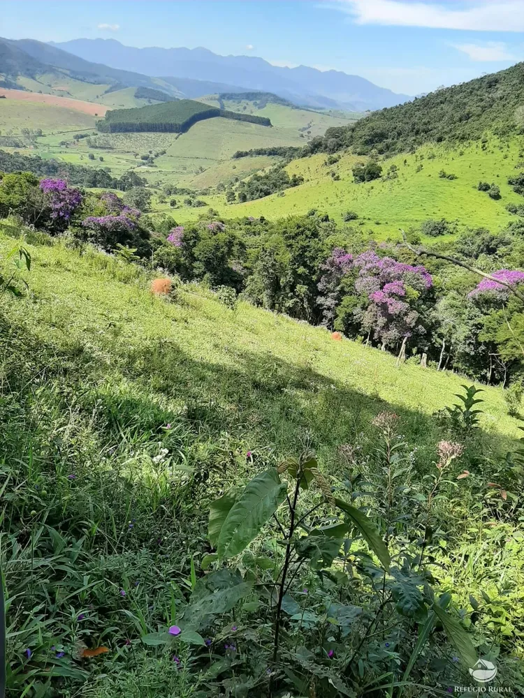 Sítio, 67 hectares - Foto 4