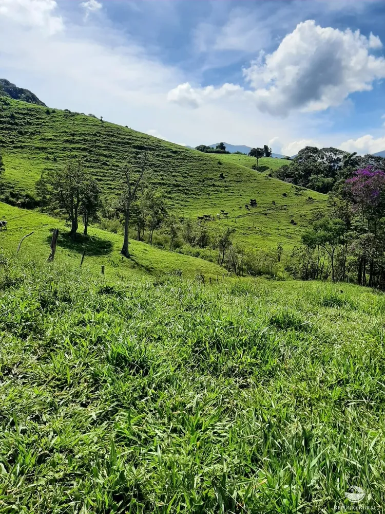 Sítio, 67 hectares - Foto 10