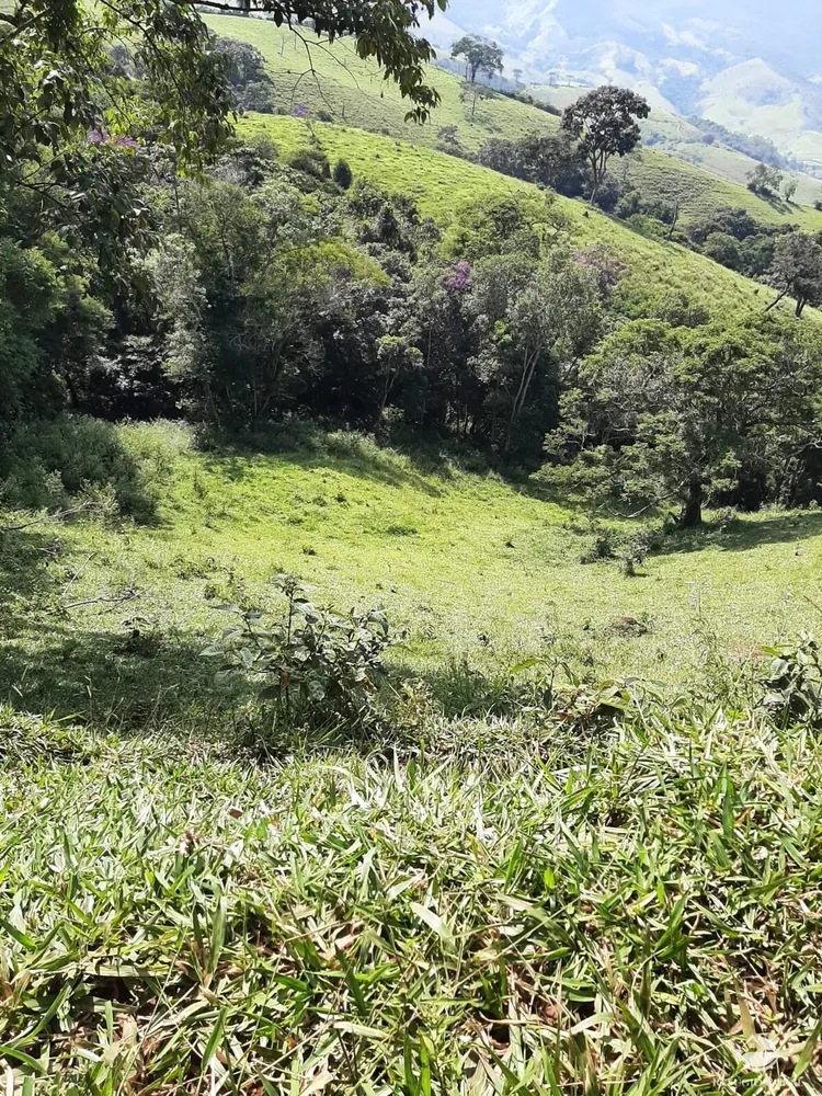 Sítio, 67 hectares - Foto 8