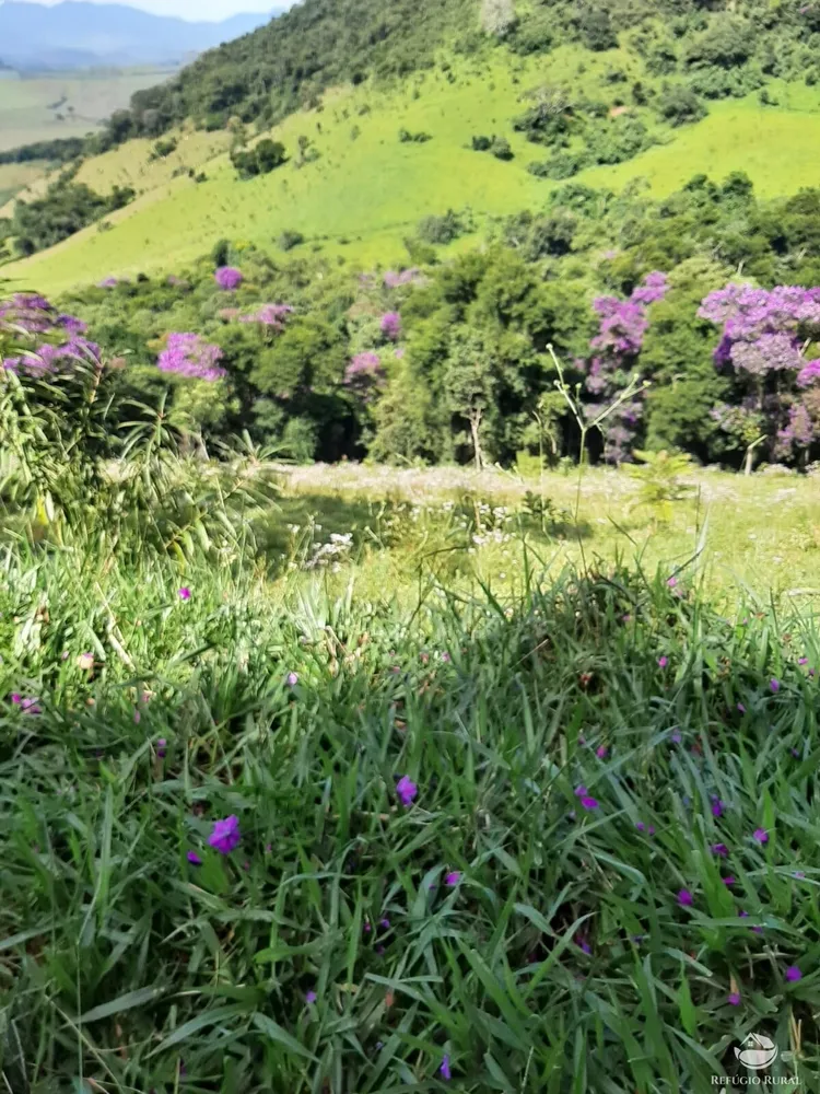 Sítio, 67 hectares - Foto 1