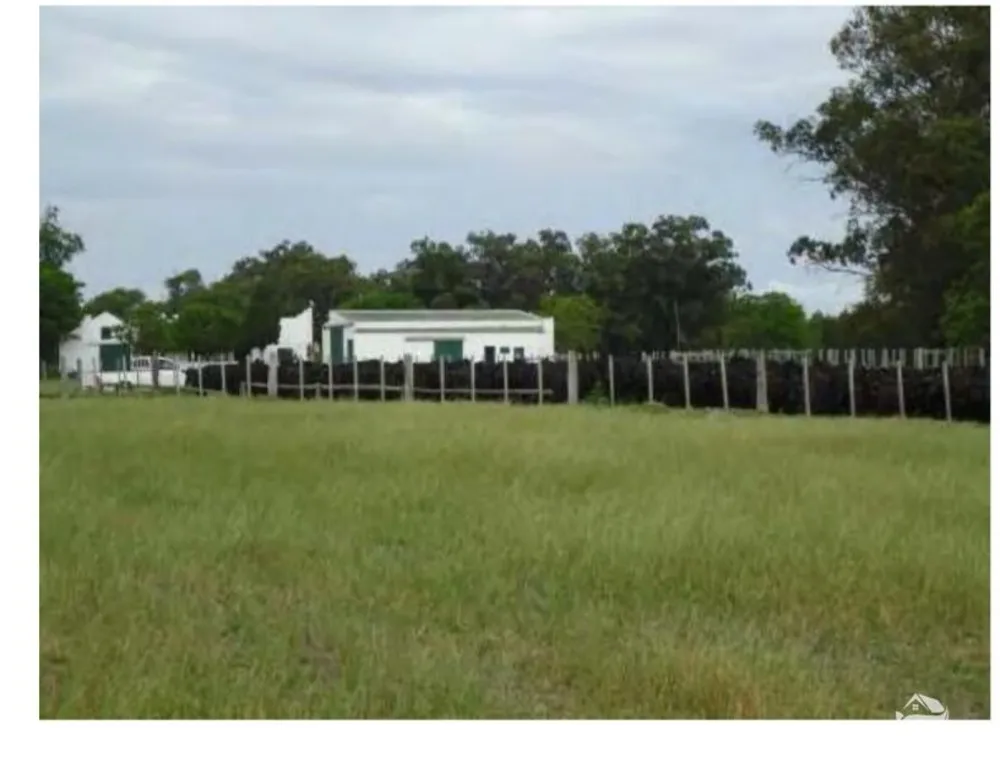 Fazenda, 6000 hectares - Foto 11