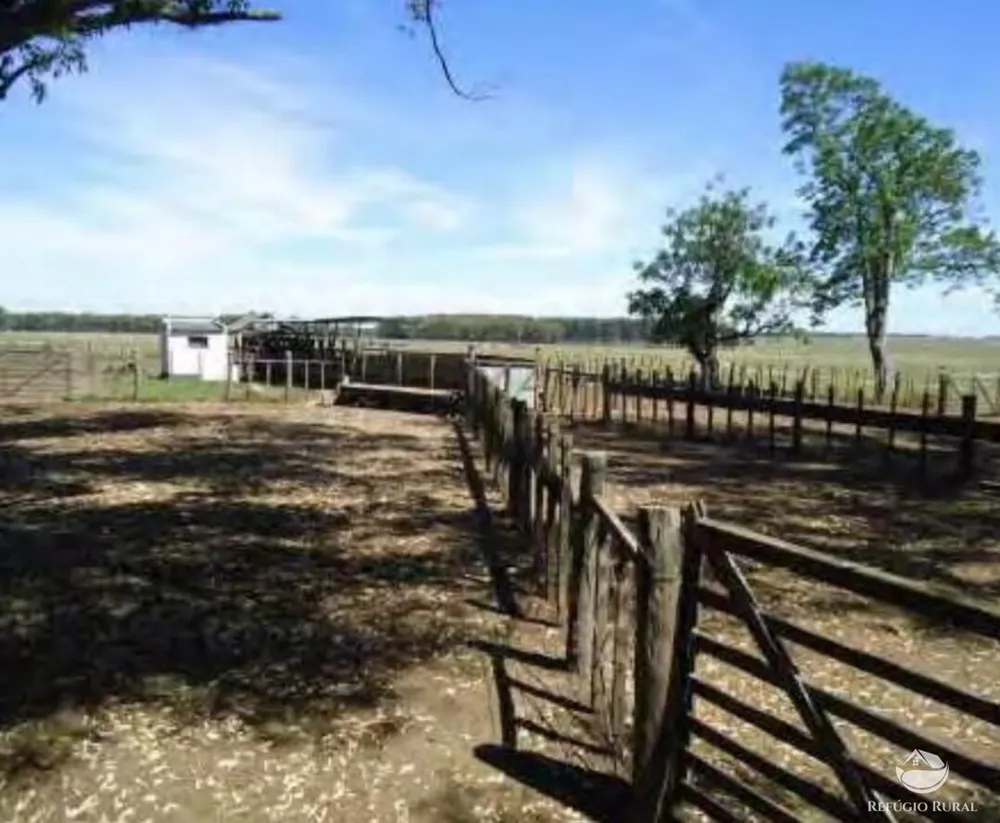 Fazenda, 6000 hectares - Foto 8