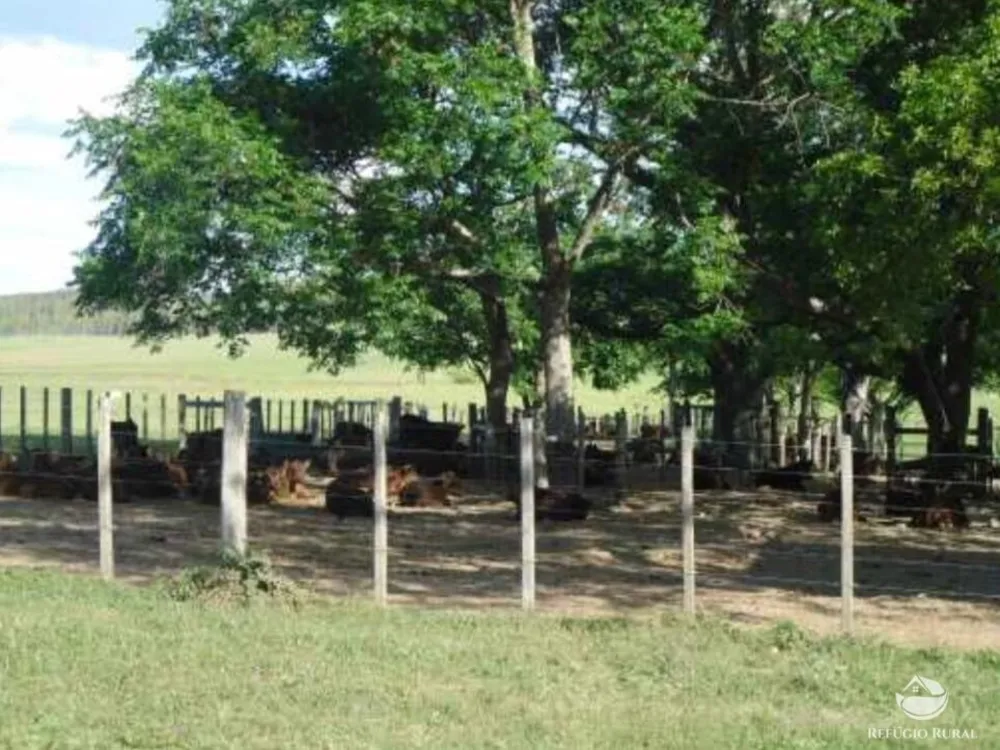 Fazenda, 6000 hectares - Foto 1