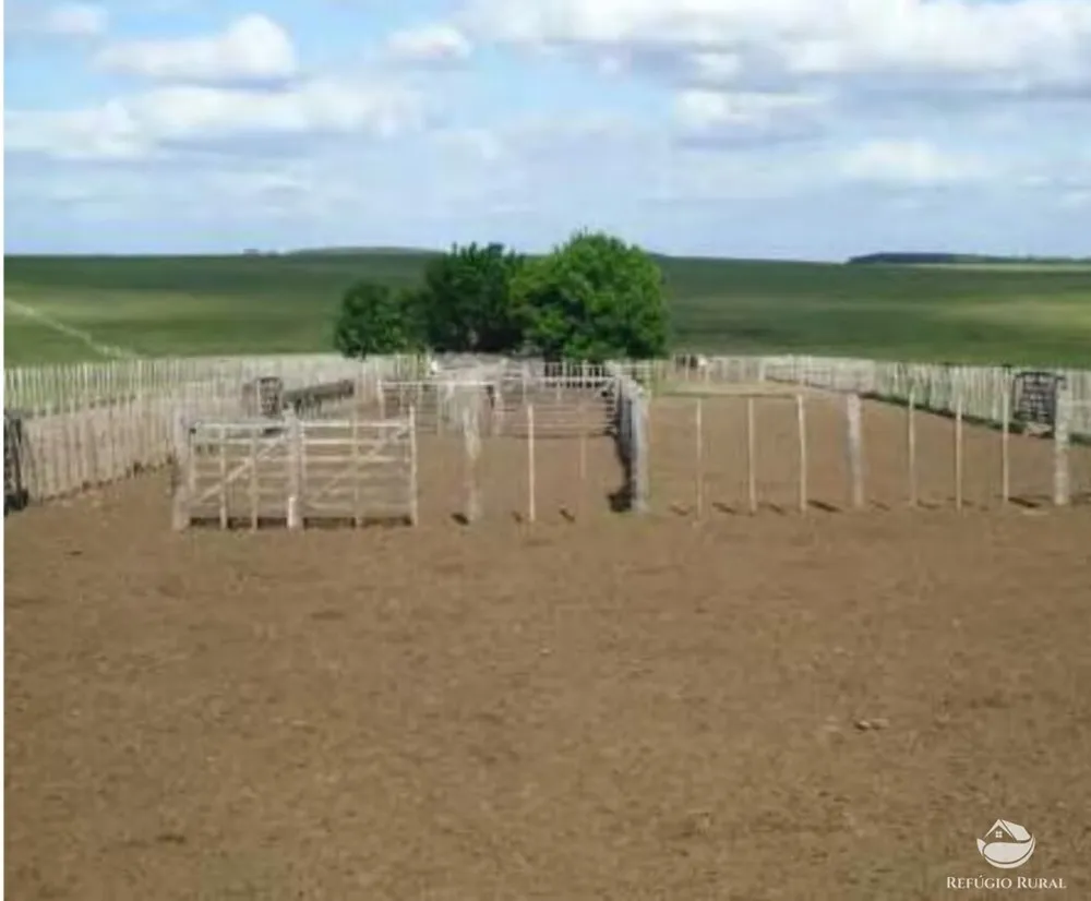 Fazenda, 6000 hectares - Foto 7