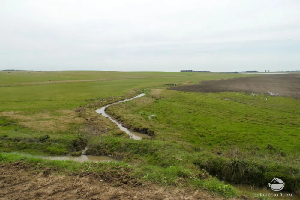 Fazenda, 6000 hectares - Foto 9