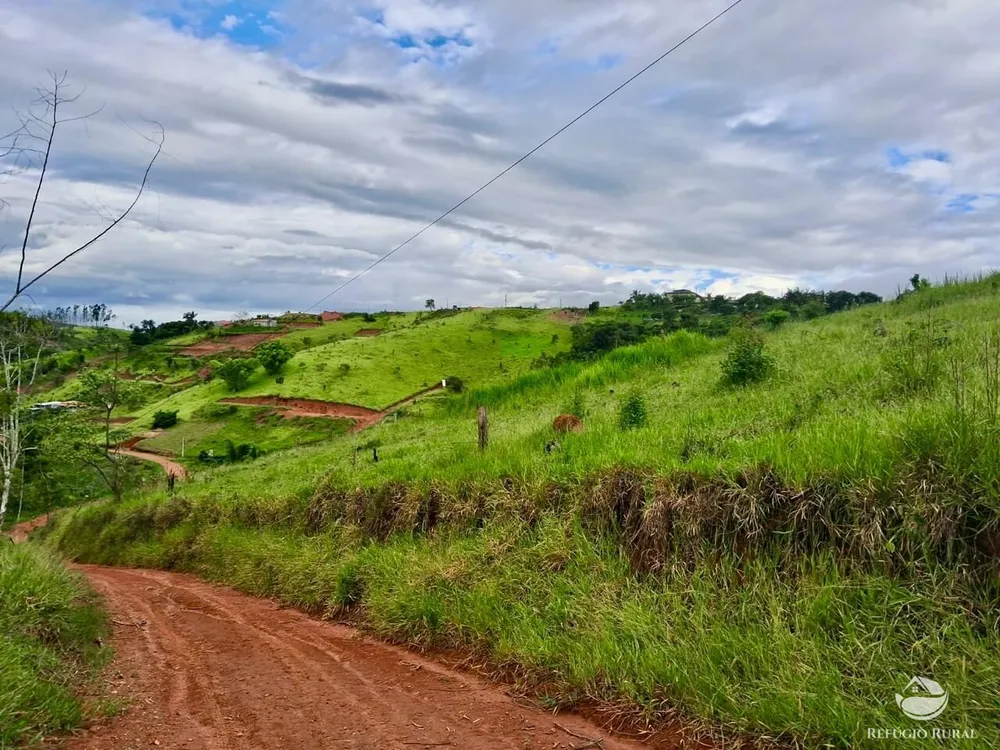 Terreno, 15 hectares - Foto 6