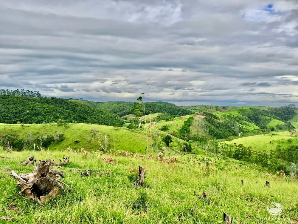 Terreno, 15 hectares - Foto 6