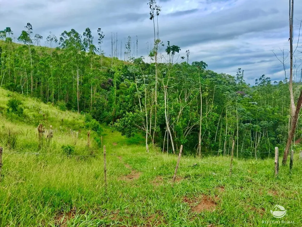 Terreno, 15 hectares - Foto 2