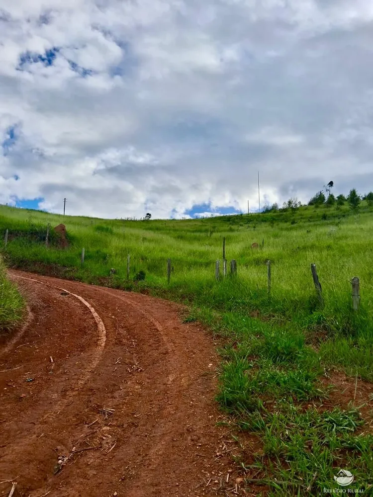 Terreno, 15 hectares - Foto 1