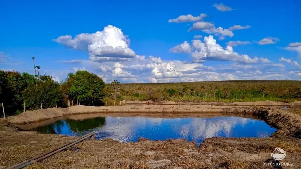 Fazenda, 10000 hectares - Foto 4