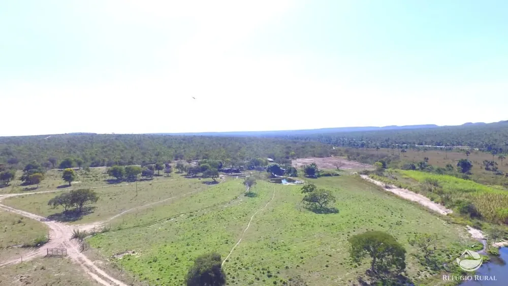 Fazenda, 10000 hectares - Foto 7
