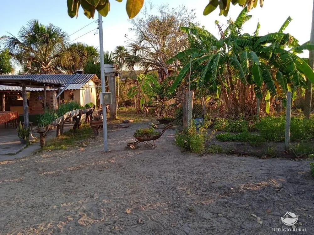 Fazenda, 10000 hectares - Foto 11