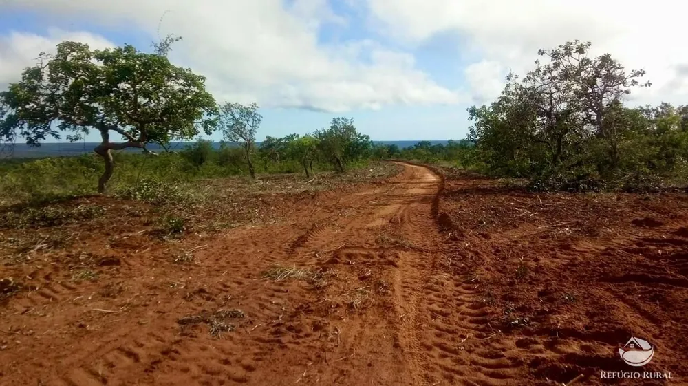 Fazenda, 10000 hectares - Foto 13