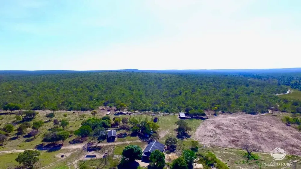 Fazenda, 10000 hectares - Foto 3