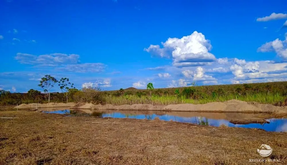 Fazenda, 10000 hectares - Foto 12